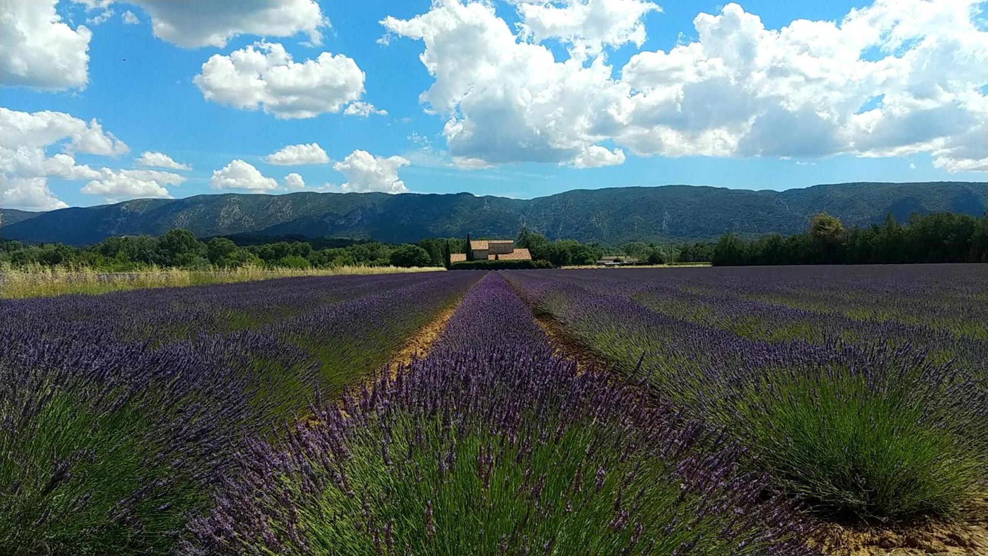 Отель Le Mas De Roussillon Русийон Экстерьер фото