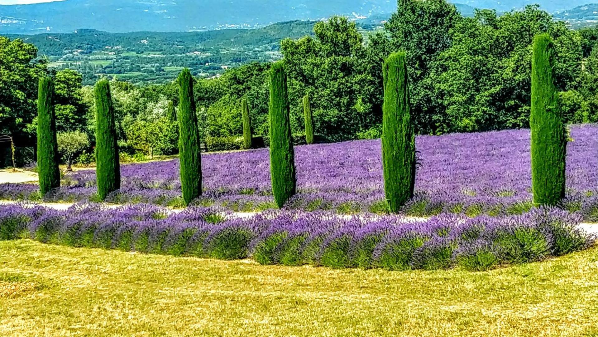 Le Mas De Roussillon Русийон Экстерьер фото