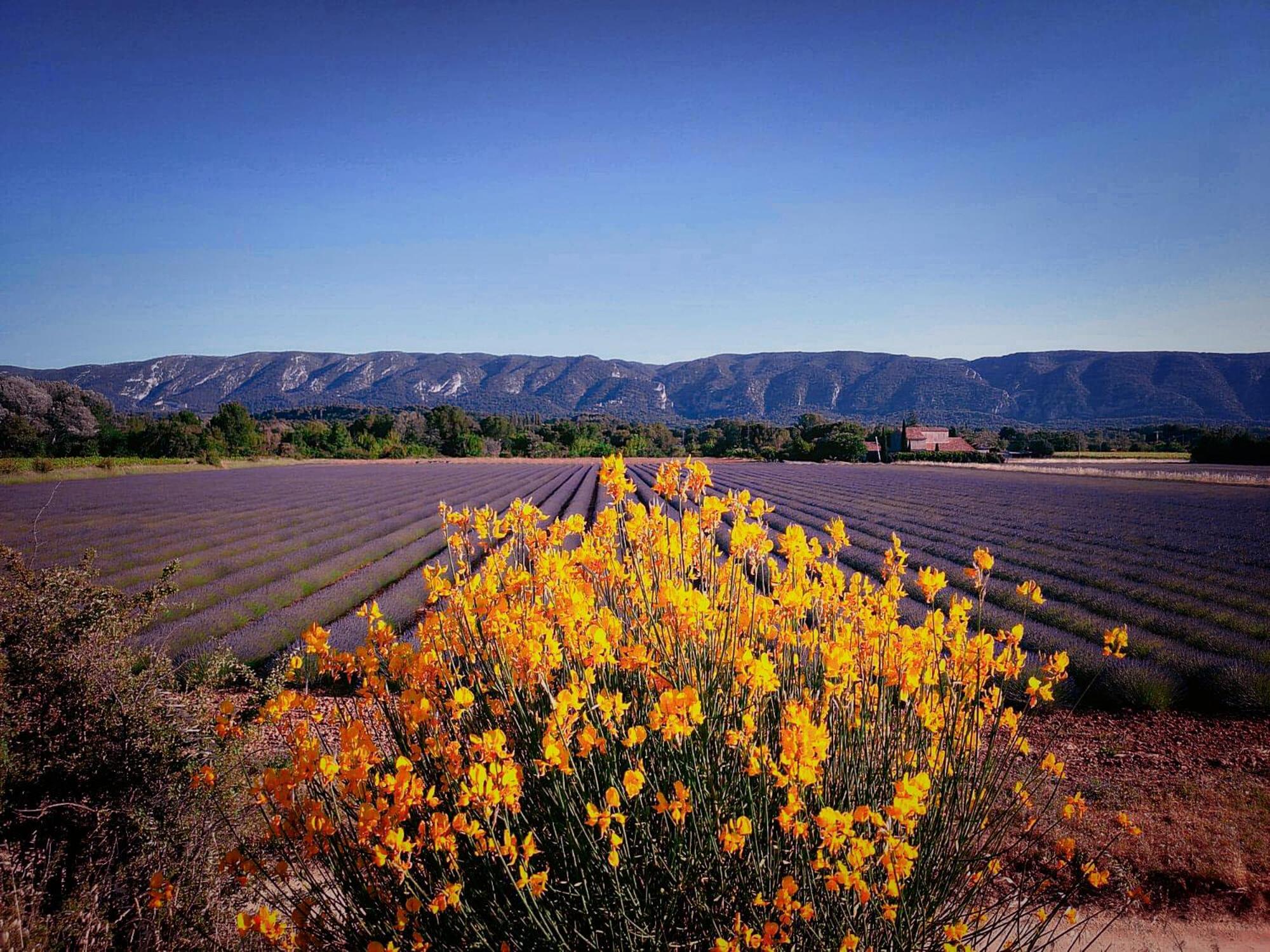 Le Mas De Roussillon Русийон Экстерьер фото